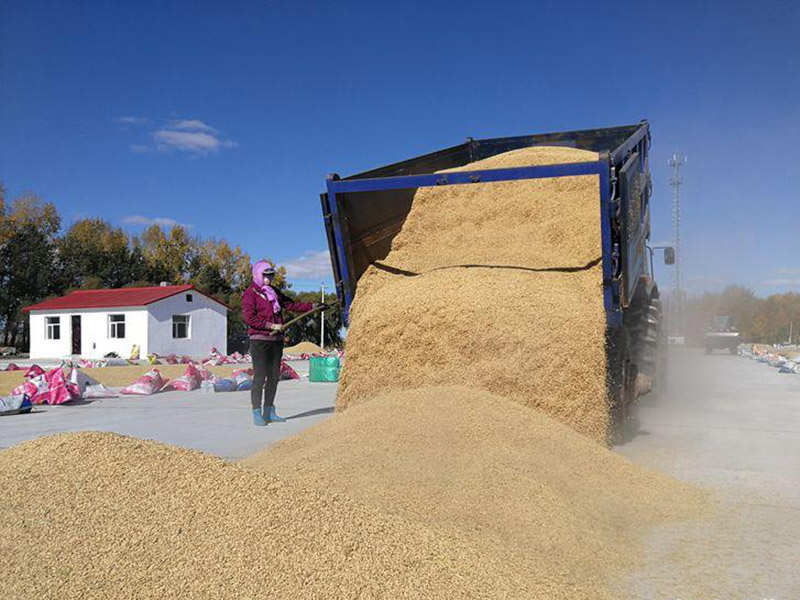 糧食容易受到哪些污染？