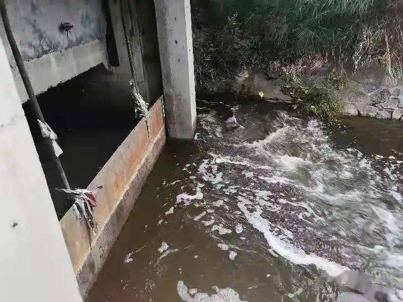 生物毒性檢測(cè)儀可以檢測(cè)什么？