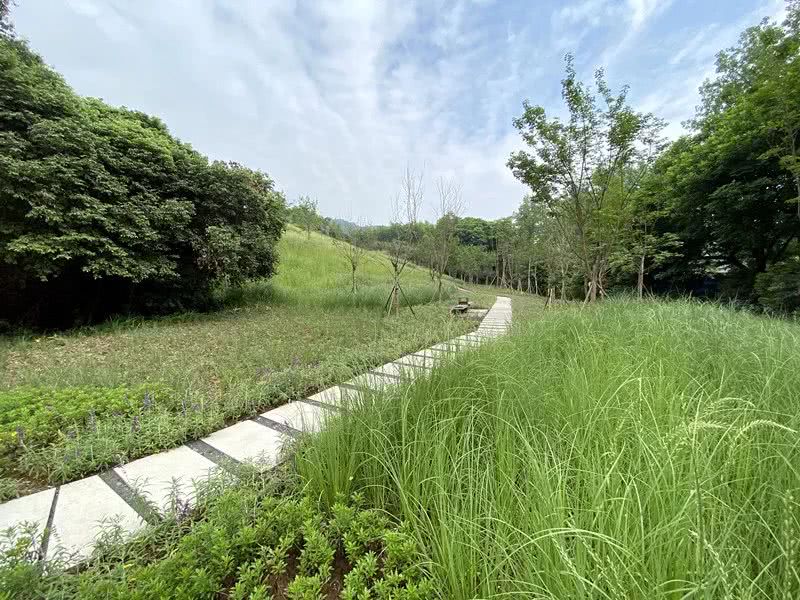 環(huán)境監(jiān)測(cè)站節(jié)省成本、提**率