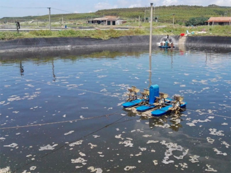 水中亞硝酸鹽含量過(guò)高對(duì)養(yǎng)殖有什么影響