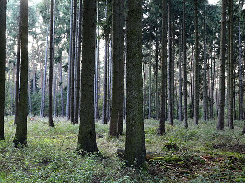 負氧離子監(jiān)測系統(tǒng)可實時監(jiān)控空氣質(zhì)量