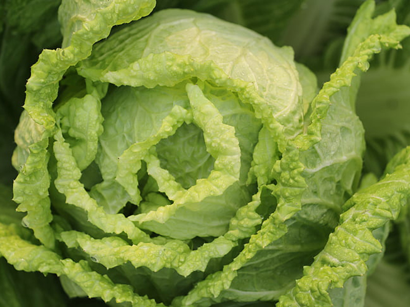 怎樣可以檢測小白菜中農(nóng)藥殘留是否超標(biāo)？