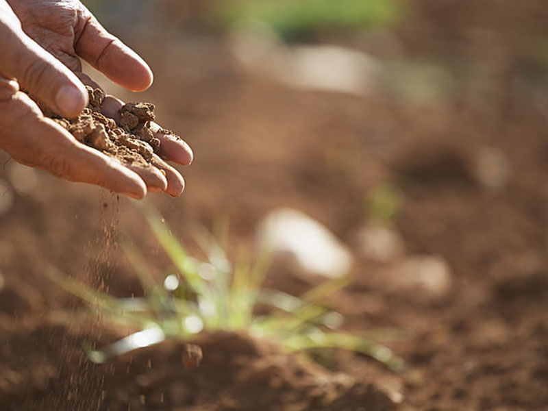土壤肥料養(yǎng)分檢測(cè)儀靠譜嗎？
