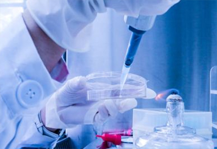 土壤檢測實驗室建設(shè)方案