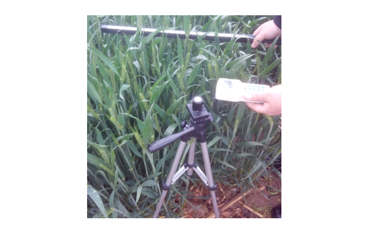 葉面積指數(shù)測量儀（冠層分析儀）