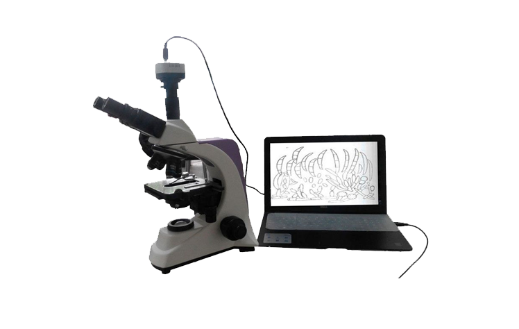 植物病蟲害檢測(cè)設(shè)備