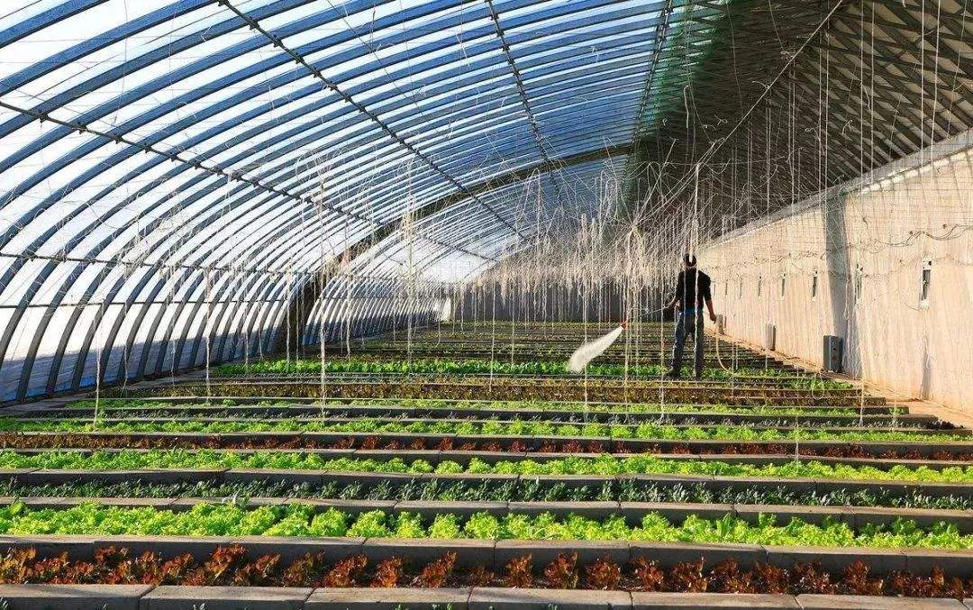 溫室土壤測(cè)試儀