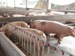 專(zhuān)家解讀肉類(lèi)獸藥殘留有多可怕。