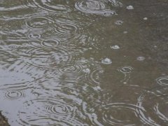 雨量監(jiān)測儀，提供雨量原始數(shù)據(jù)