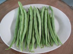 農(nóng)藥殘留檢測儀，檢測四季豆農(nóng)藥殘留含量