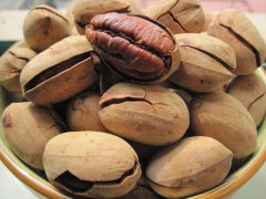 碧根果苗種植，怎樣的土壤*合適？