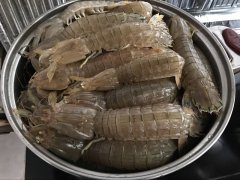 皮皮蝦中為什么會(huì)被檢測(cè)出鎘超標(biāo)？