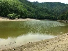 水產(chǎn)養(yǎng)殖檢測(cè)儀，為水源保護(hù)提供精準(zhǔn)數(shù)據(jù)