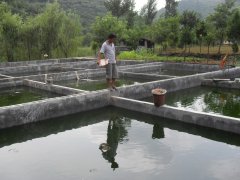 水中硫化氫檢測(cè)儀，可以為水產(chǎn)養(yǎng)殖做什么？