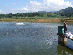 水產(chǎn)養(yǎng)殖檢測(cè)儀，為水產(chǎn)提供優(yōu)良的生長(zhǎng)環(huán)境