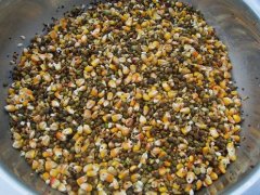 真菌毒素對人和動物有極大的危害！