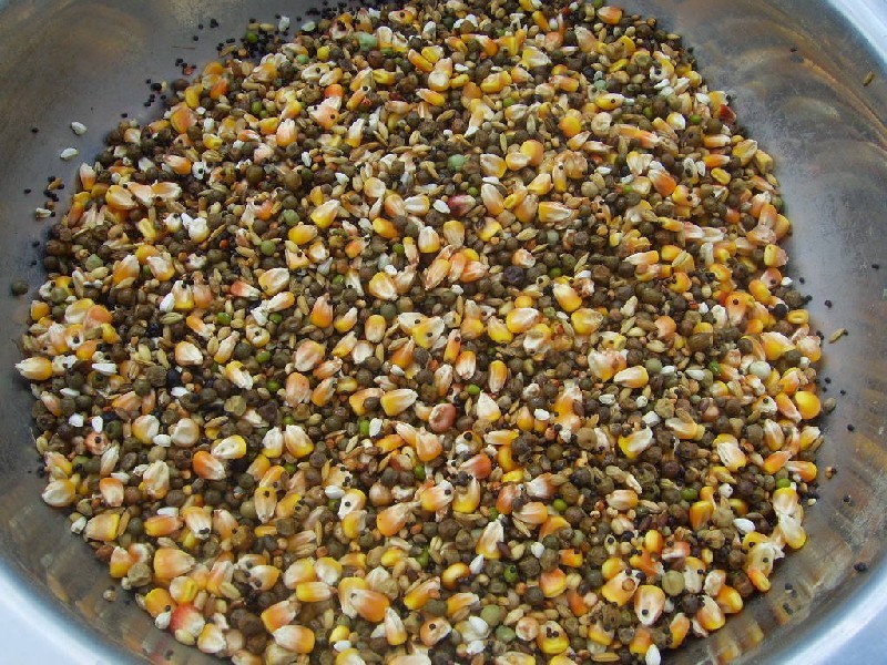 真菌毒素對(duì)人和動(dòng)物有極大的危害